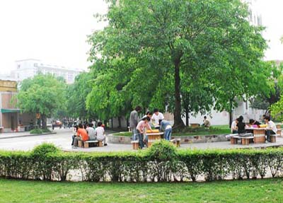 学校景致