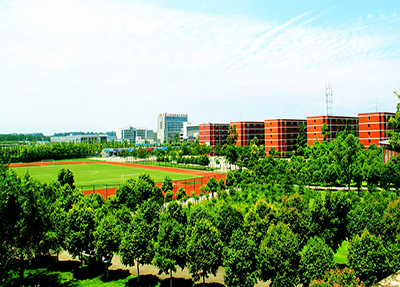 学校面积