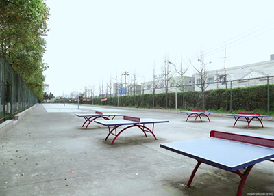 室外小球场