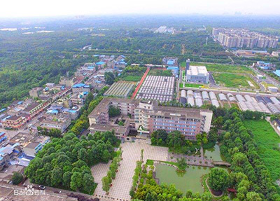 高铁专业有出路吗
