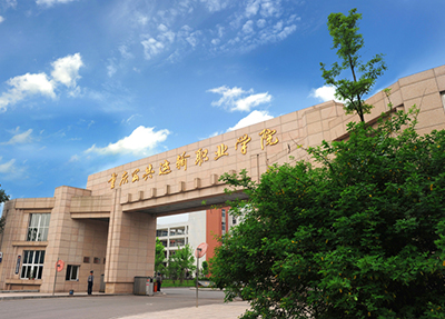 学校大门.jpg
