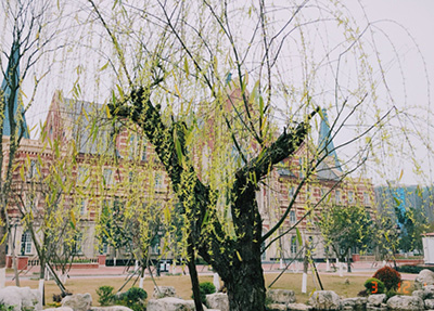中国五冶大学的师资力量好吗
