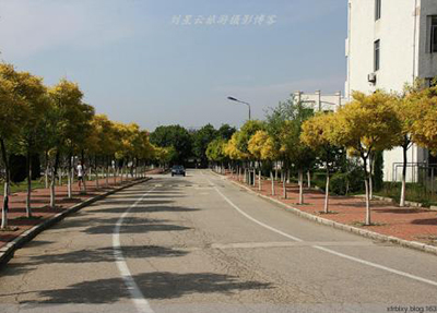 规章制度