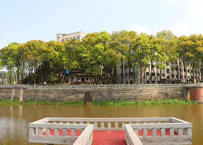 四川托普信息技术学院