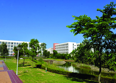 学校景色