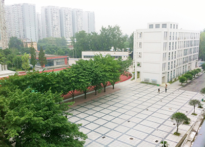 学校掠影