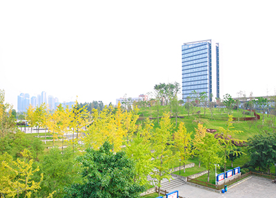 学校景色
