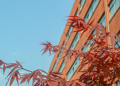 全日制公办学校