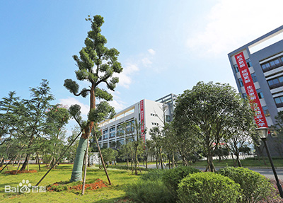 就业出路广