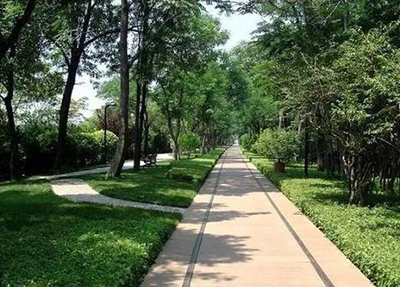 学校