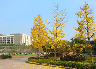全日制重点职业学校