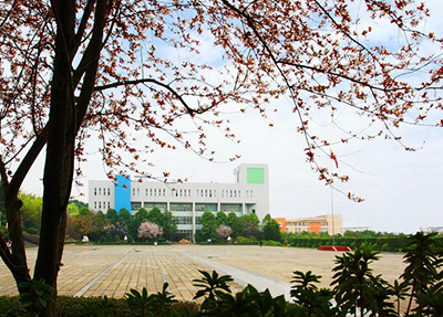管理类学科