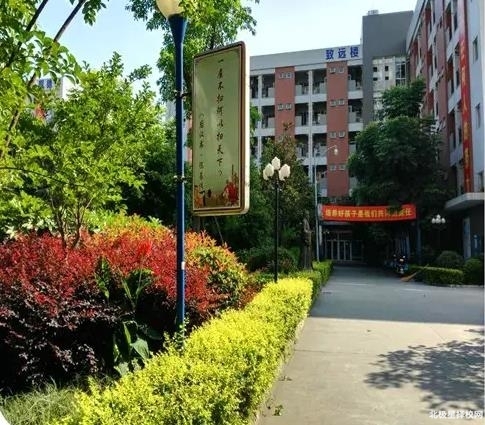 成都华商理工职业学校录取分数线
