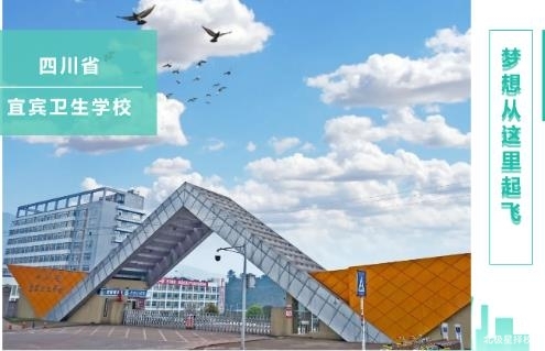 宜宾卫校可以考哪些大学