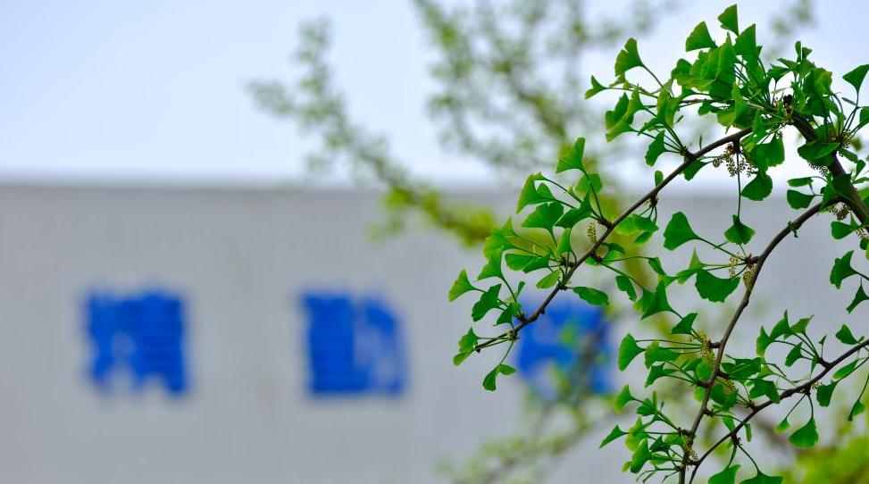 说说成都铁路卫生学校是中专还是大专