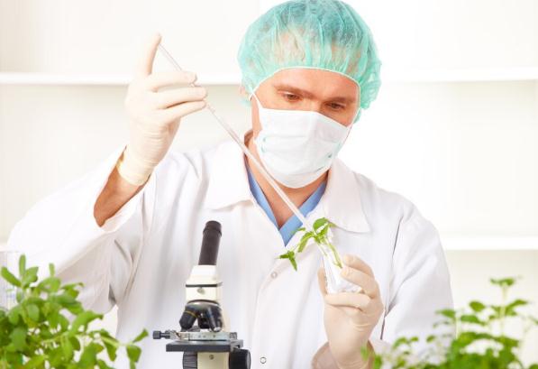 医学影像技术就业前景怎么样 好不好