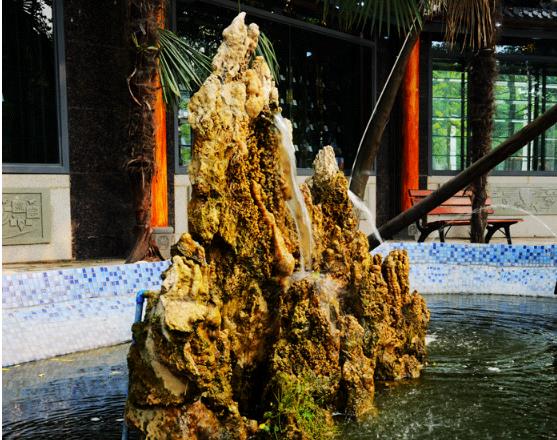 成都华大医药卫生学校是什么学校