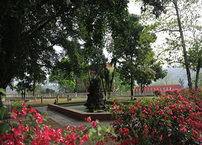 学校小花园