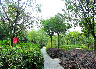 成都五月花高级技工学校