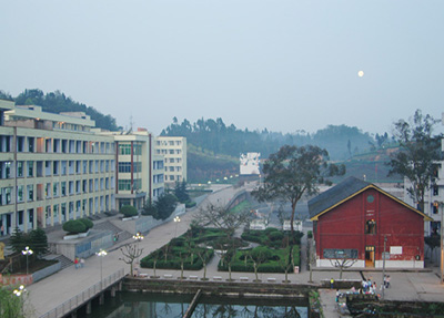 柳职校园