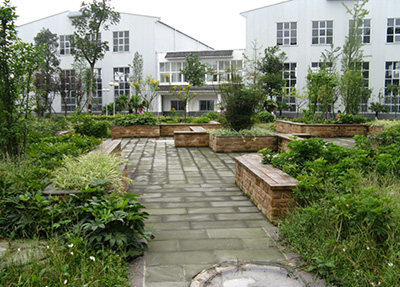 学校花园
