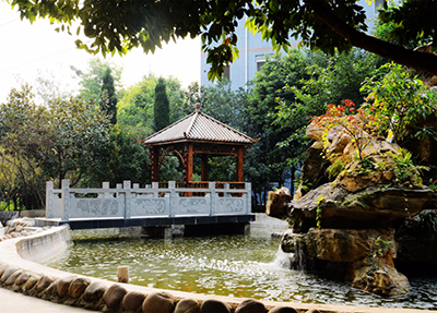 校园小桥流水图片