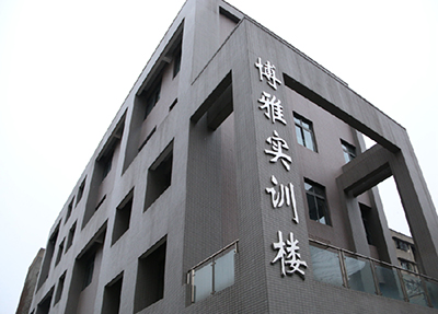 民办