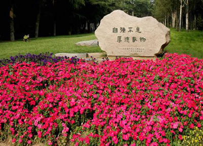 校园风景