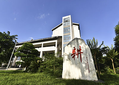 校园一角