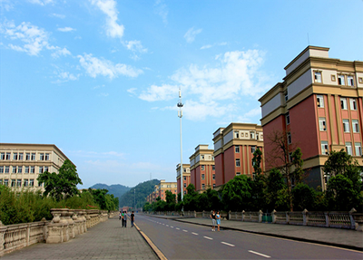学校大道