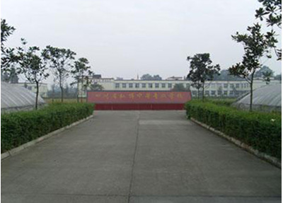 学校风景