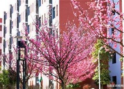 师范学校校园一角