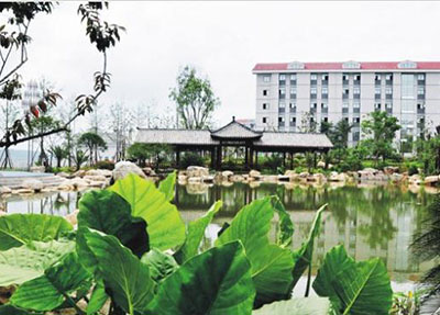 学校环境图片
