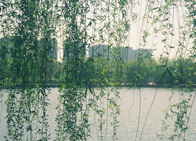 校园环境图片