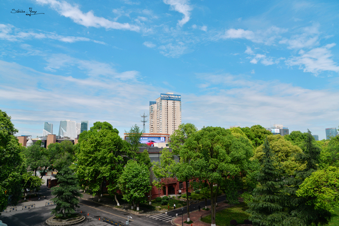 四川大学什么专业好就业