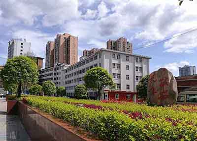 网友评价